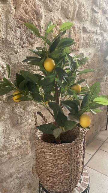 L'Isle Apartman Beaucaire  Kültér fotó